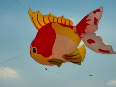 Tempelhofer Sommer - Sommerfest