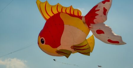 Tempelhofer Sommer - Sommerfest